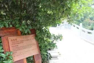 乌龙桥