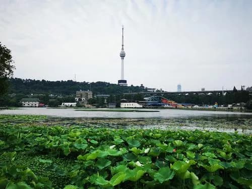 汉阳莲花湖公园