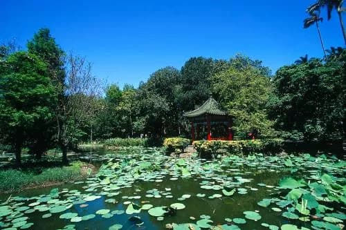 台北植物园