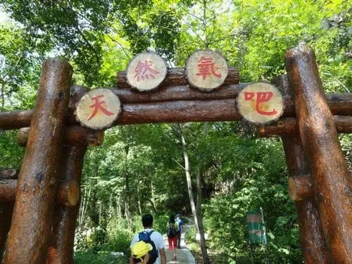 新民森林公园