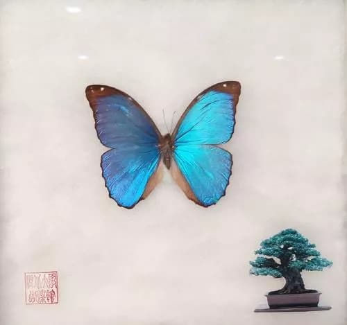 湖北大学蝴蝶馆