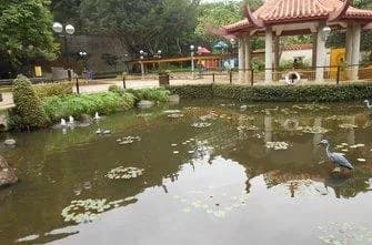 圆洲角公园