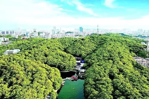 金鹗山