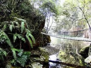 石佛山生态园