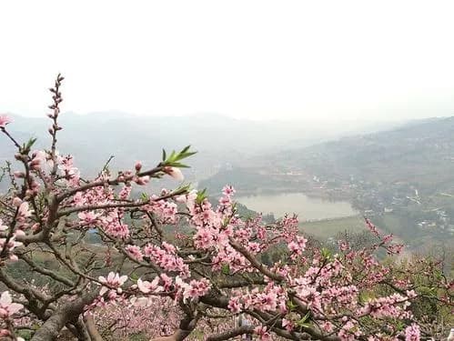 岳阳桃花山