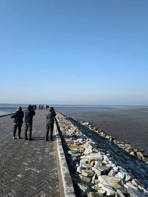 鸭绿江口滨海湿地