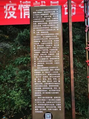 大山冲森林公园
