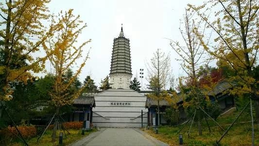 舍利塔滩地公园