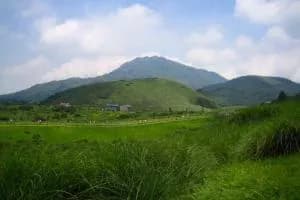 擎天岗