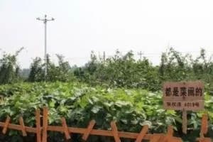 镇江市开心农场