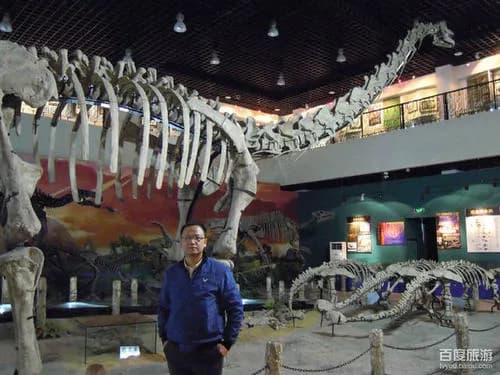 石家庄经济学院地球科学博物馆属院校博物馆