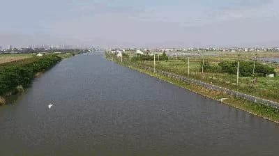 庵东沼泽湿地