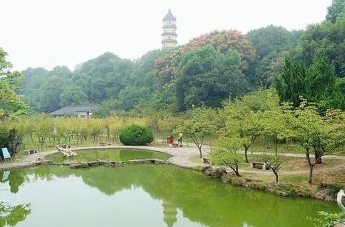 镇江宝塔山公园