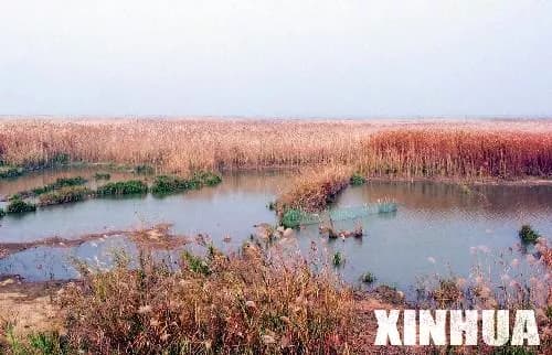 上涉湖湿地自然保护区
