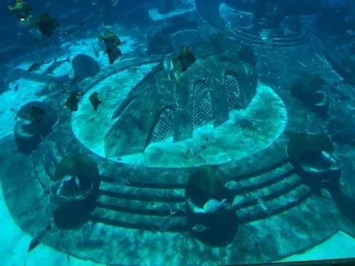 亚特兰蒂斯失落的空间水族馆