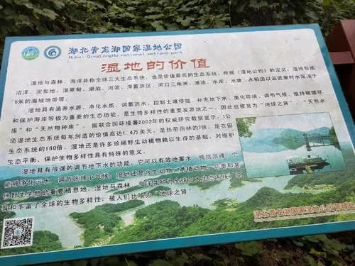 当阳青龙湖国家湿地公园
