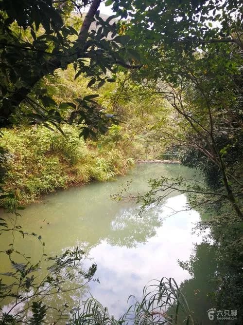 虾辣龙潭森林步道