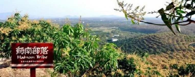 海南部落热带果园