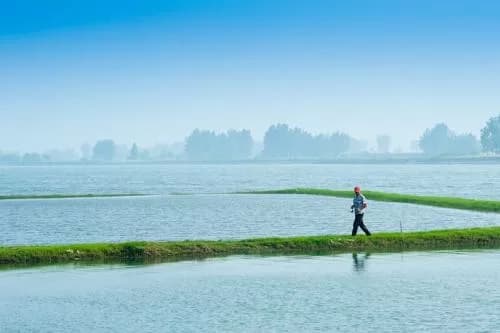 老河口西排子湖国家湿地公园