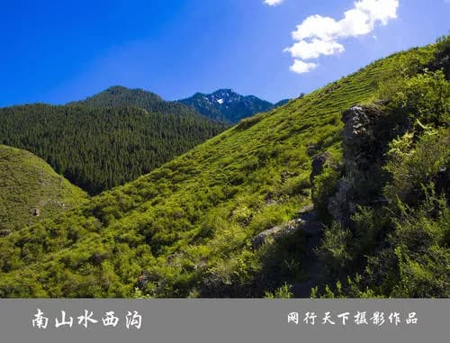 水西沟