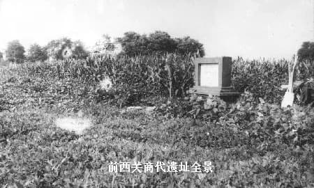 前西关商代遗址