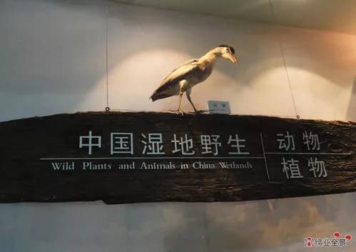 长广溪湿地科普馆