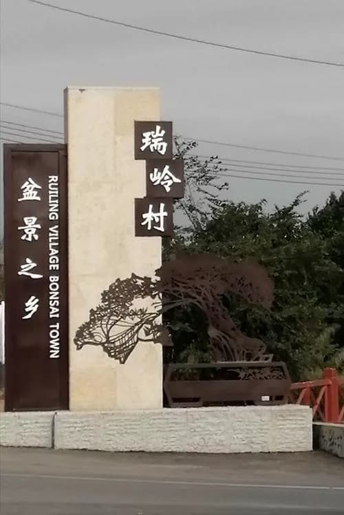 瑞岭盆景村