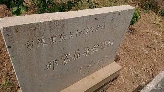 河家庄遗址