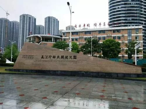 中华鲟研究所