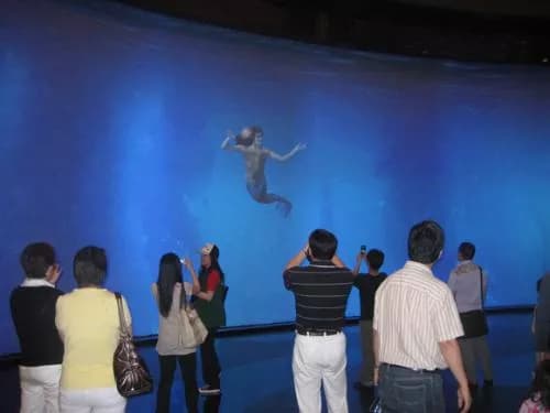 澳门新濠天地虚拟水族馆