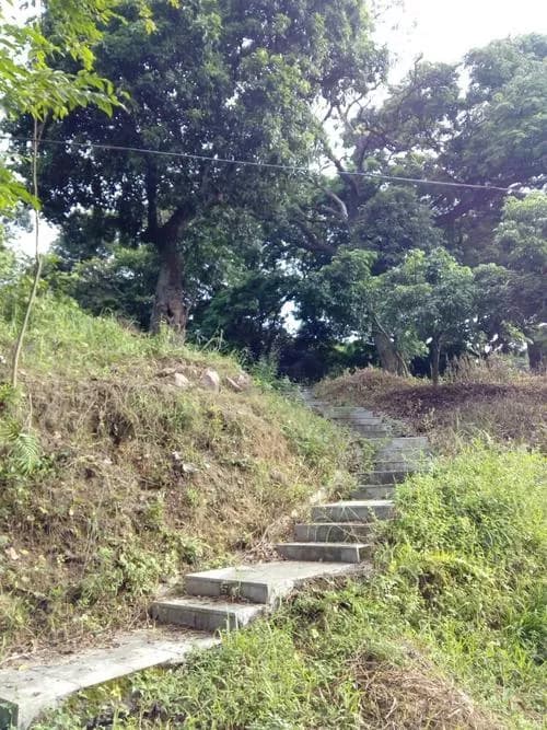 水口营村
