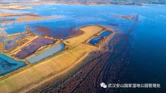 武汉安山国家湿地公园