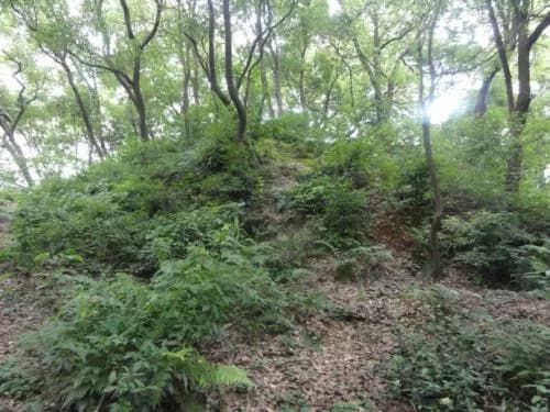 魏家大堆汉墓