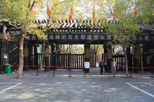 新疆古生态园