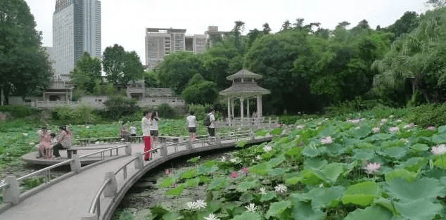莲塘人民公园
