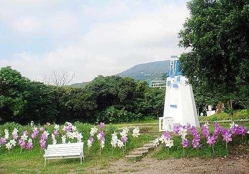 兴福寮花卉农场