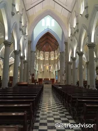 圣母无原罪主教座堂