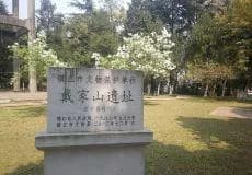 戴家山遗址
