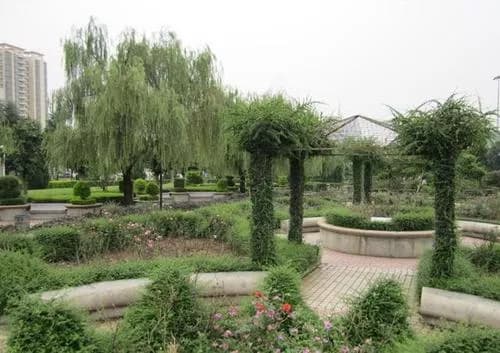 无极县绿荫广场