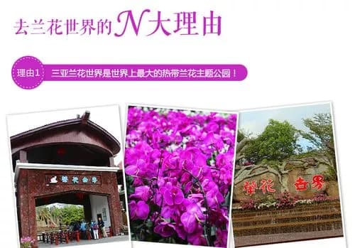 三亚兰花世界主题公园