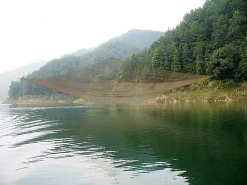 株树桥水库