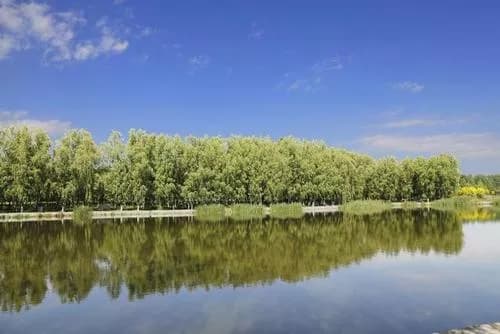 清凉湾湿地公园