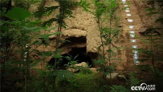 南岭遗址
