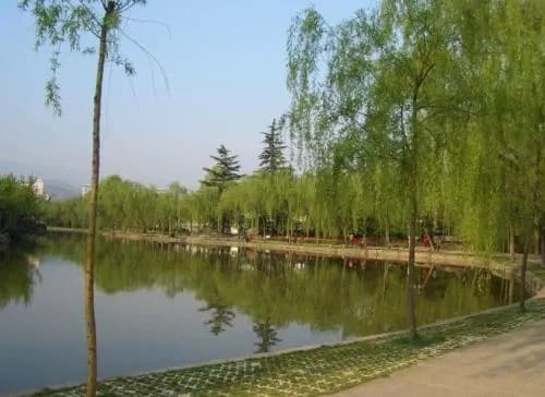 石河子人民公园