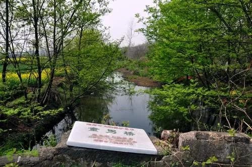 童男桥