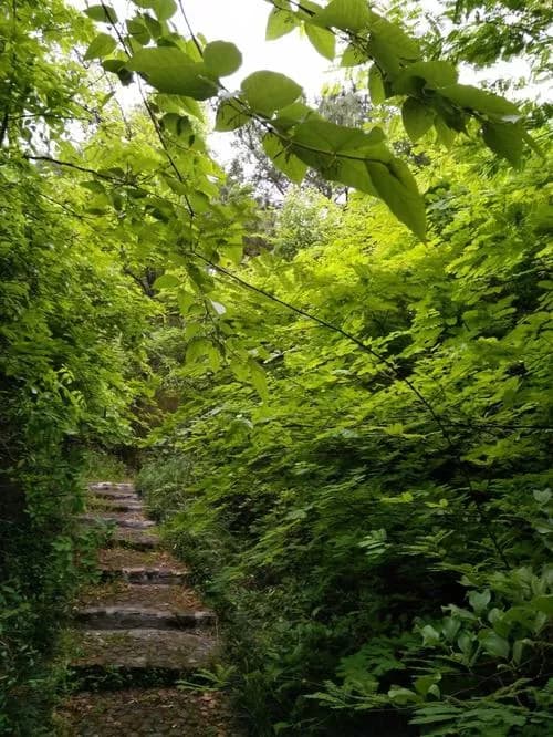 云雩山森林步道