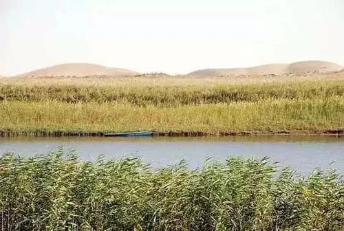 新疆尼雅国家湿地公园