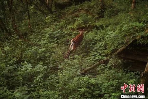 万朝山自然保护区