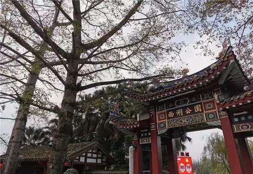 赛西湖公园