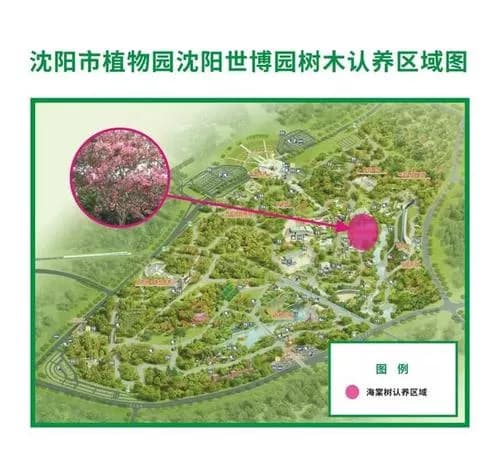 沈阳树木园